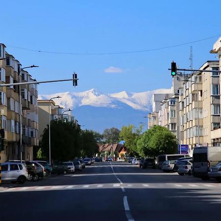 Modern Apartament Фэгэраш Экстерьер фото
